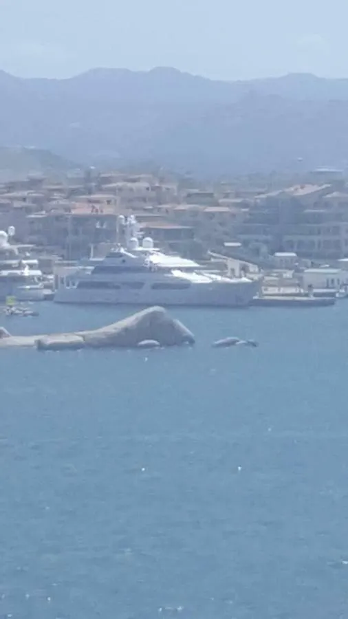 Appartamento da Giulia le mimose Olbia