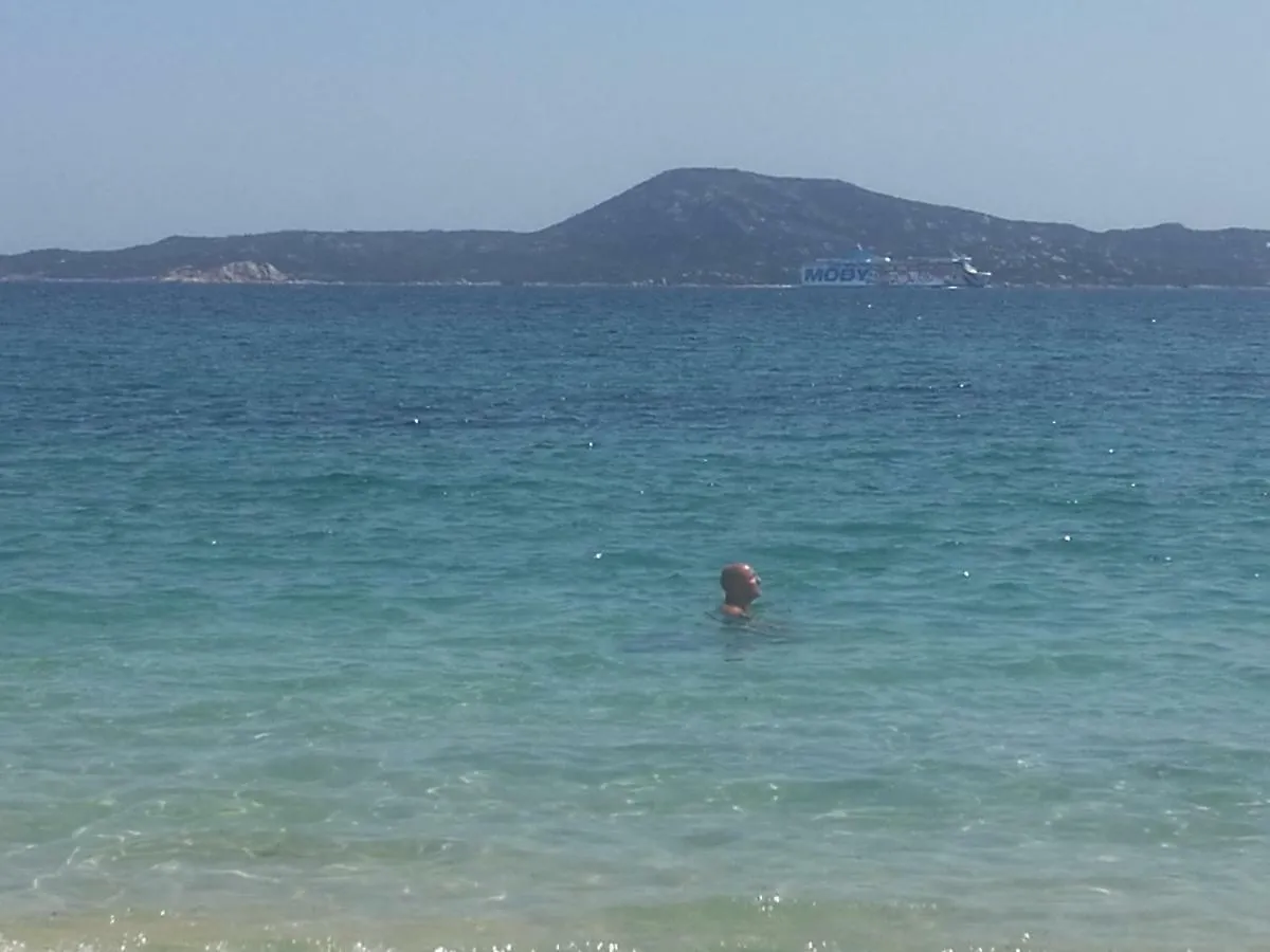Da Giulia Le Mimose Apartment Olbia